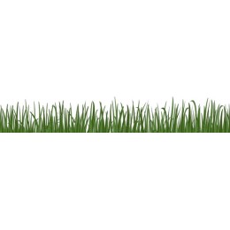 Lush Green Grass