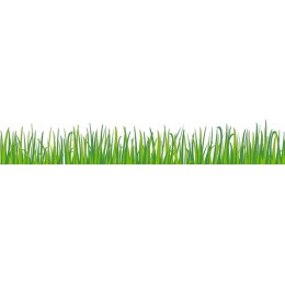 Vibrant Grass
