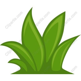 Vibrant Green Leaf