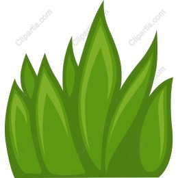 Green Leaf
