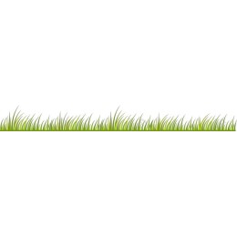 Lush Green Grass