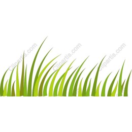 Lush Green Grass