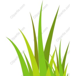 Vibrant Green Grass