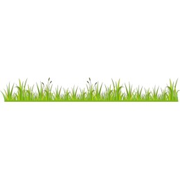 Lush Green Grass