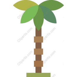 Tropical Palm Tree
