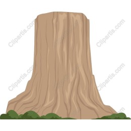Tree Stump in and
