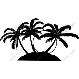 Tropical Palm Trees