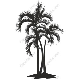 Tropical Palm Trio