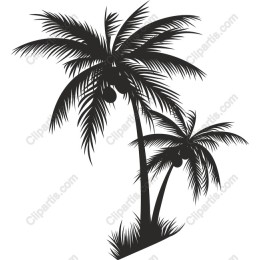 Tropical Palm Trees
