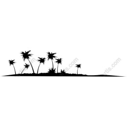 Tropical Palm Tree