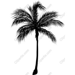 Stylish Palm Tree