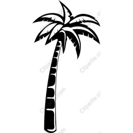 Black Palm Tree