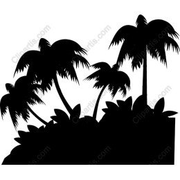 Tropical Palm Trees