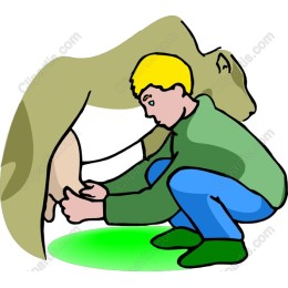 Boy Milking Cow