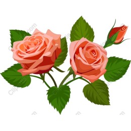 Radiant Roses