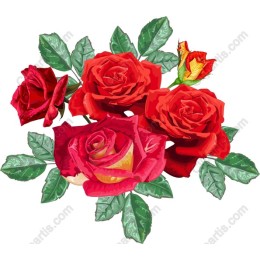 Vibrant Rose
