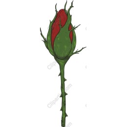 Charming Thorned Rose