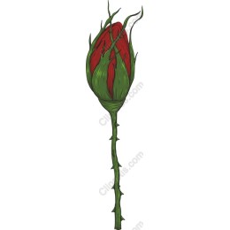 Red Thorn Rose