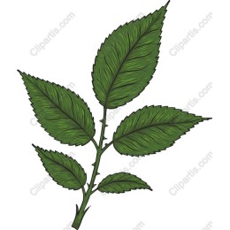 Green Leaf