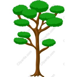 Cartoon Tree