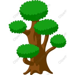 Lush Green Tree