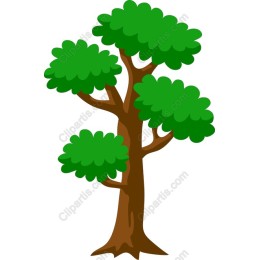Lush Green Tree