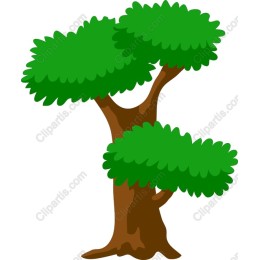 Vibrant Nature Tree