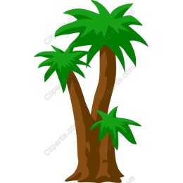 Tropical Palm Trees