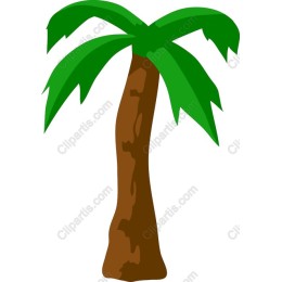 Tropical Palm Tree