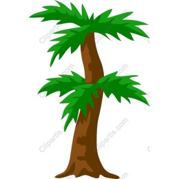 Tropical Palm Tree
