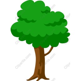 Vibrant Tree