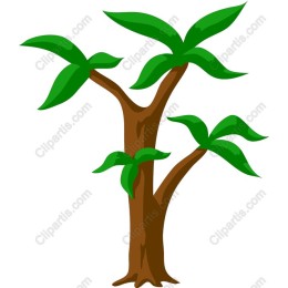 Tropical Tree