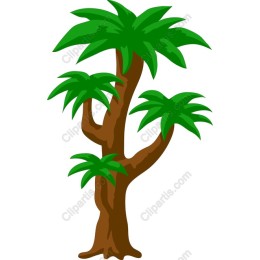 Tropical Palm Tree