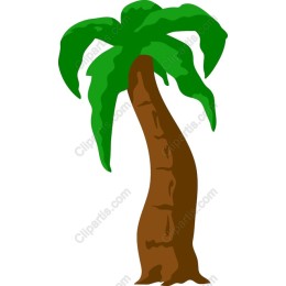 Tropical Palm Tree
