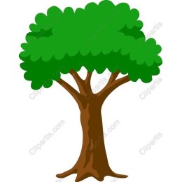 Lush Green Tree