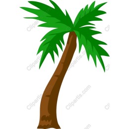Tropical Palm Tree