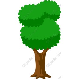 Lush Green Tree