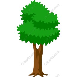 Vibrant Tree