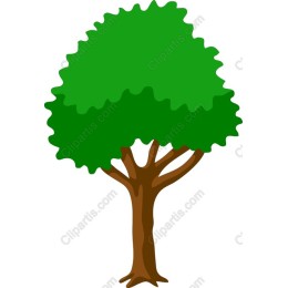 Lush Green Tree