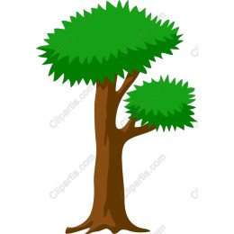 Vibrant Tree