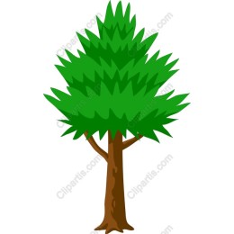Lush Green Tree