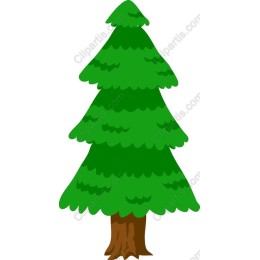 Vibrant Pine Tree