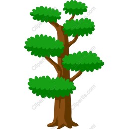 Lush Green Tree