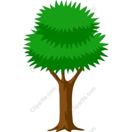 Lush Green Tree