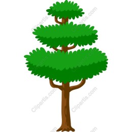 Vibrant Evergreen Tree