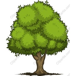 Lush Green Tree