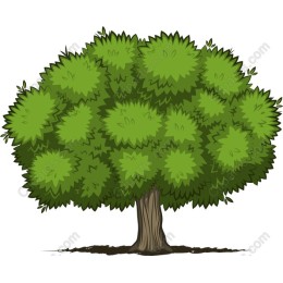 Vibrant Cartoon Tree