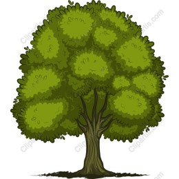 Lush Green Tree