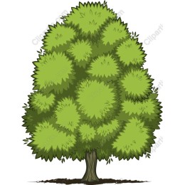 Vibrant Green Tree