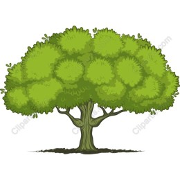 Lush Green Cartoon Tree